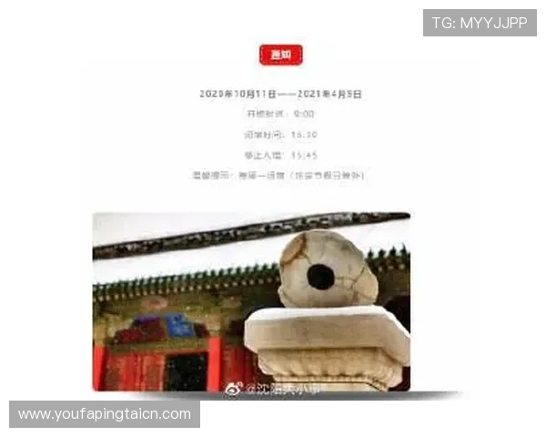 开云网娱乐app用户评价与反馈，了解真实使用体验与建议